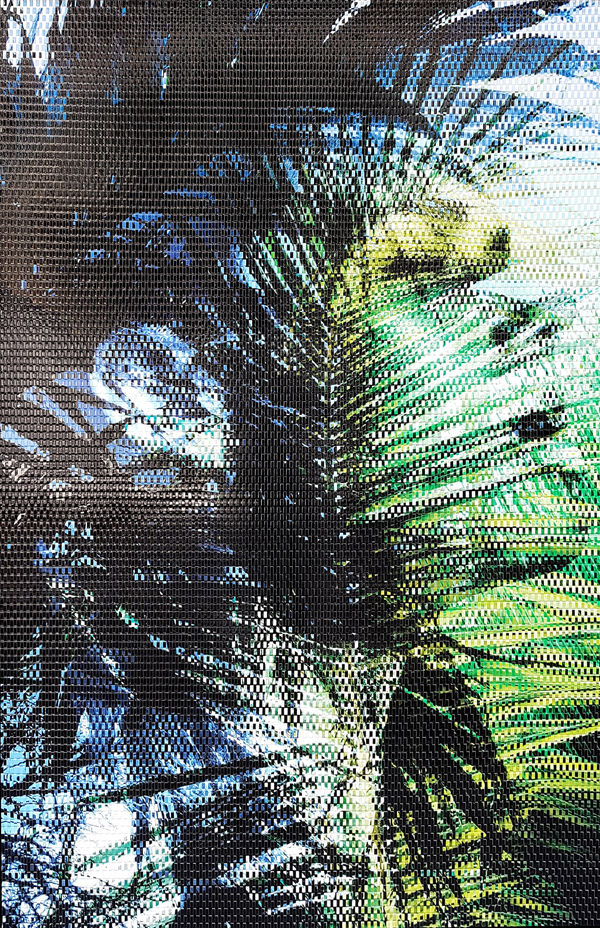 Martin Rondeau, Mohawk Tropic, 2018