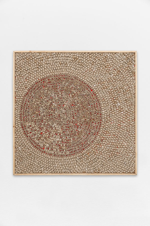 Wallen Mapondera, Masango Matsvuku, 2023