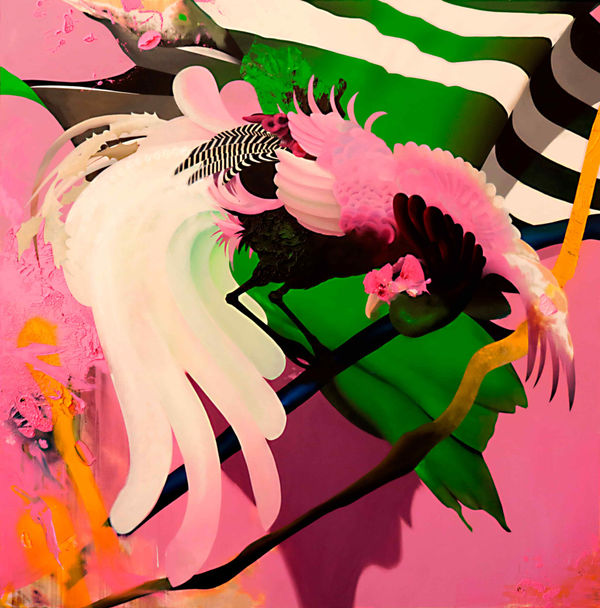 Manu Munoz, KANAZAWA'S PEACOCK