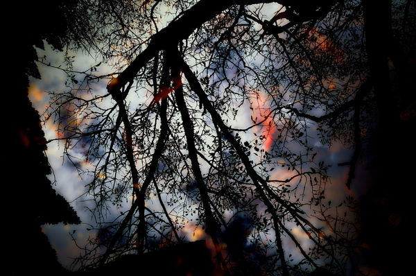 Yasuhiro Ogawa, Water Refelction, 2014