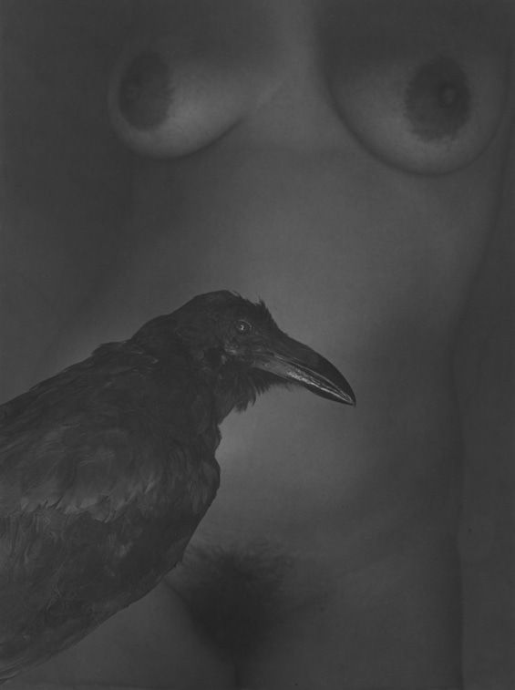 Flor Garduño, Cuervo, México, 1989