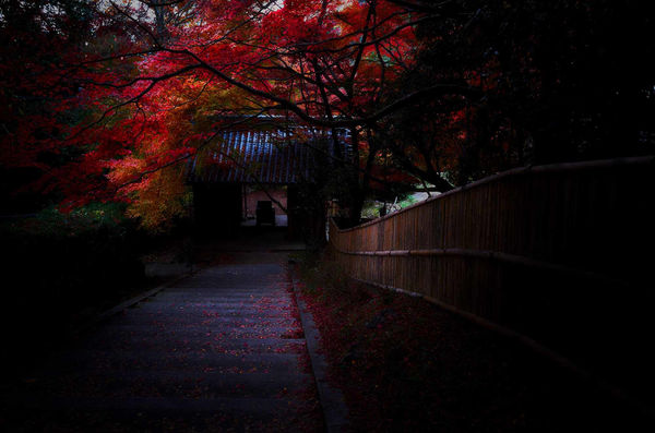Yasuhiro Ogawa, Temple Gate in Autumn, 2014