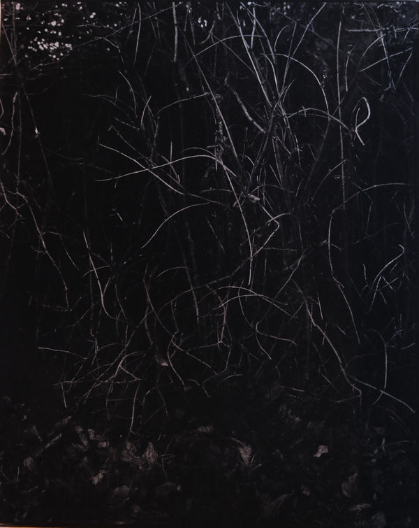 Gérard Traquandi, Sans titre, 1992