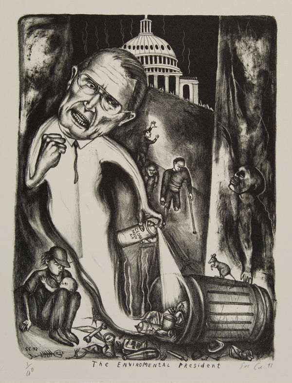 The Environmental President