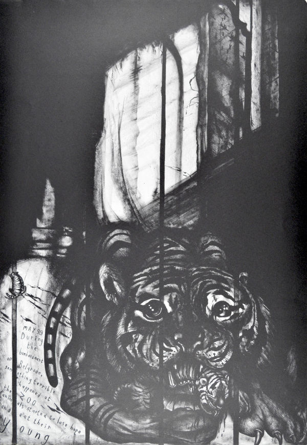 Belgrade Zoo: Mad Tiger