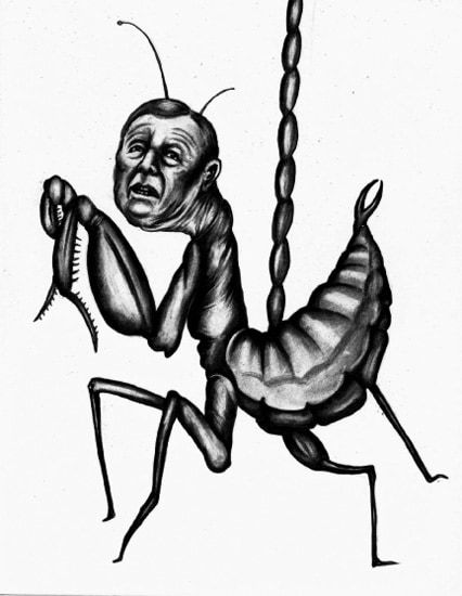 Ashcroft the Praying Mantis