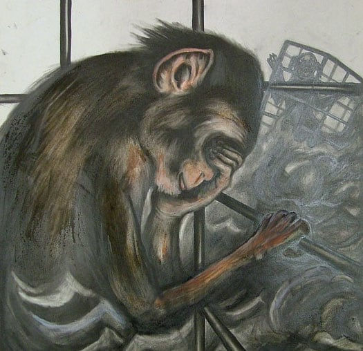 Untitled (Caged Monkey and Dog)
