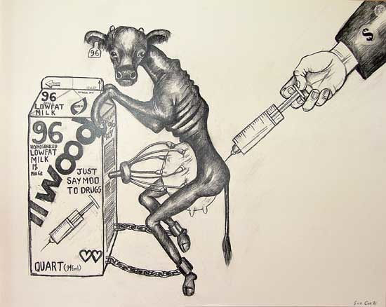 Bovine Growth Hormone