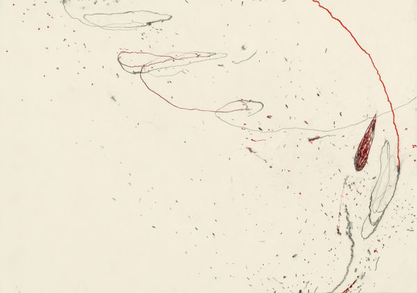 Z757_2018__Lichtsaat__Bleistift_und_Farbstift_auf_Papier_42x60,5cm