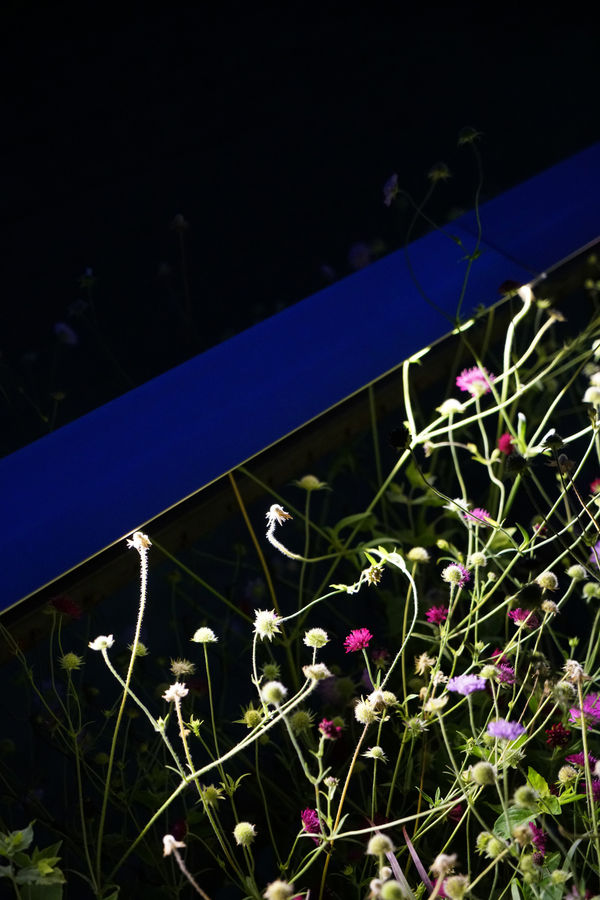 Juan Uslé Huidiza, NY, 2016 pigmented ink , Photo Rag Ultrasmooth 305g Hahnemühle 28 x 18.7 cm 11 1/16 x 7 5/16 ins 2 of 2 + 1 AP