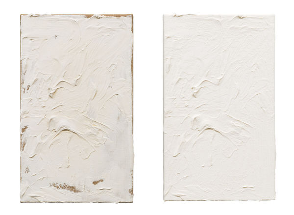 Michael Müller Das Bild als Objekt, 2017 2 parts work , canvas , acrylic and 3D print