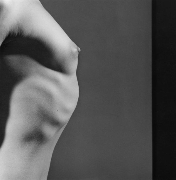 508_TitProfile_1980_300dpi