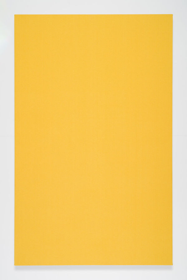 Willem de Rooij P, 2024 Hand woven tapestry on wooden stretcher 239 x 150 x 5 cm 94 1/8 x 59 x 2 in