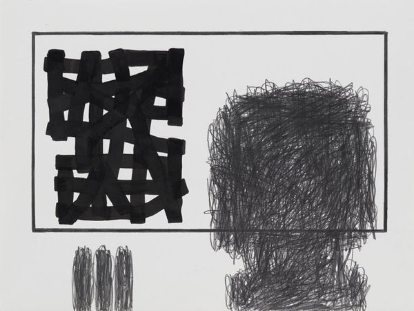 Jonathan Lasker Untitled, 2010 graphite and India ink on paper 56 x 76 cm 22 1/16 x 29 14/16 ins