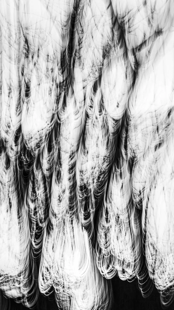 Jean-Sebastien Véilleux, Méandres du silence, 2024