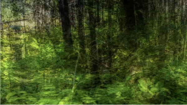 Jean-Sebastien Véilleux