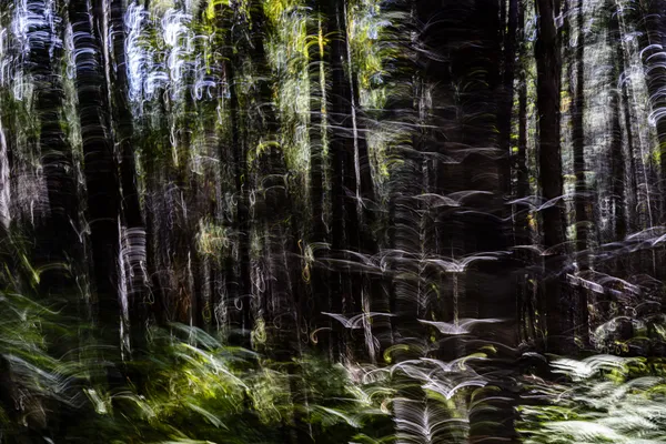 Jean-Sebastien Véilleux, Éamation, 2024