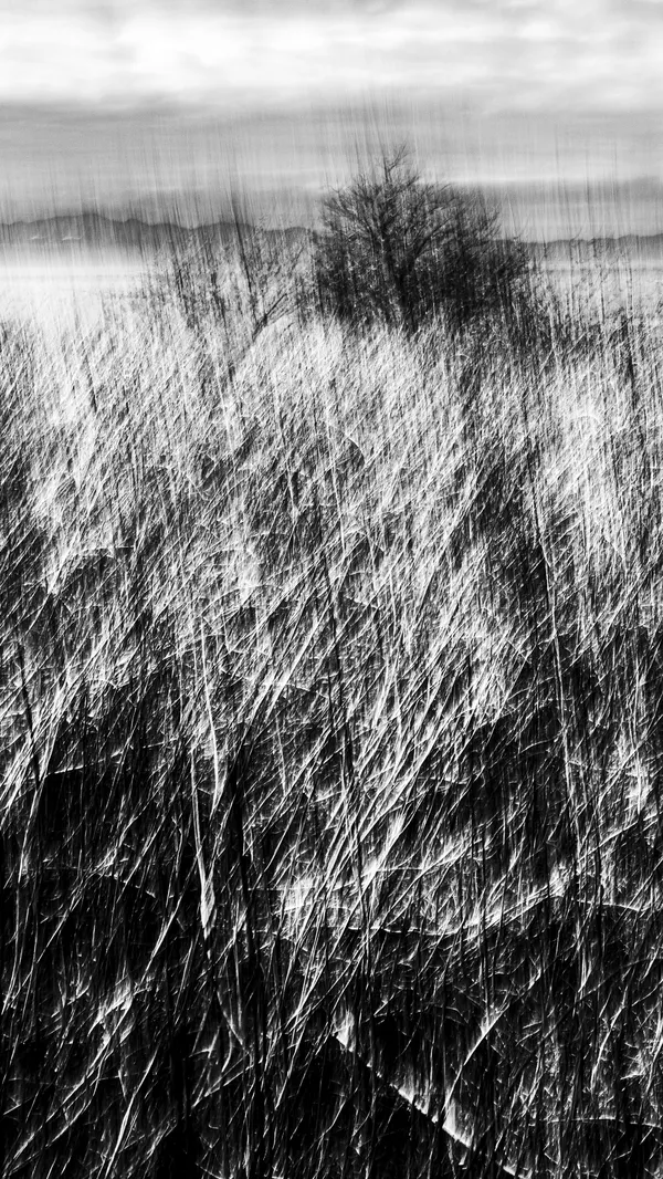 Jean-Sebastien Véilleux, Aboiteaux, 2024