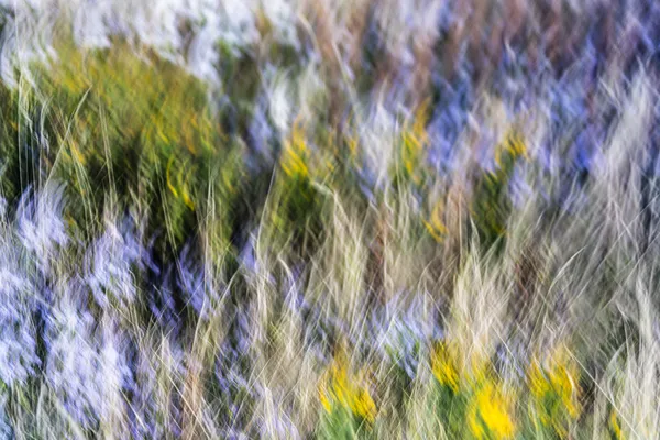 Jean-Sebastien Véilleux, Ce qui reste, 2024