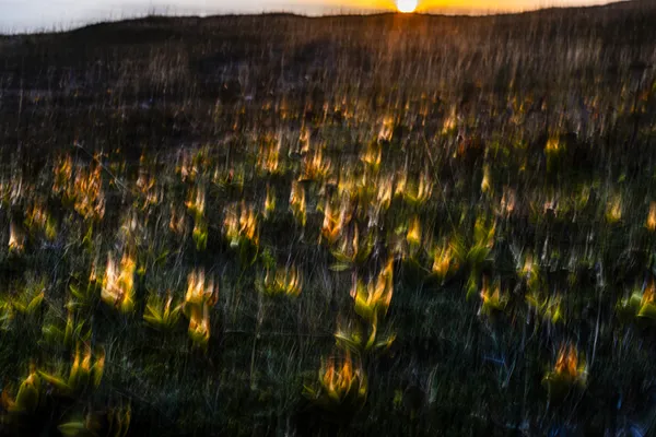 Jean-Sebastien Véilleux, Dernière lumière, 2024