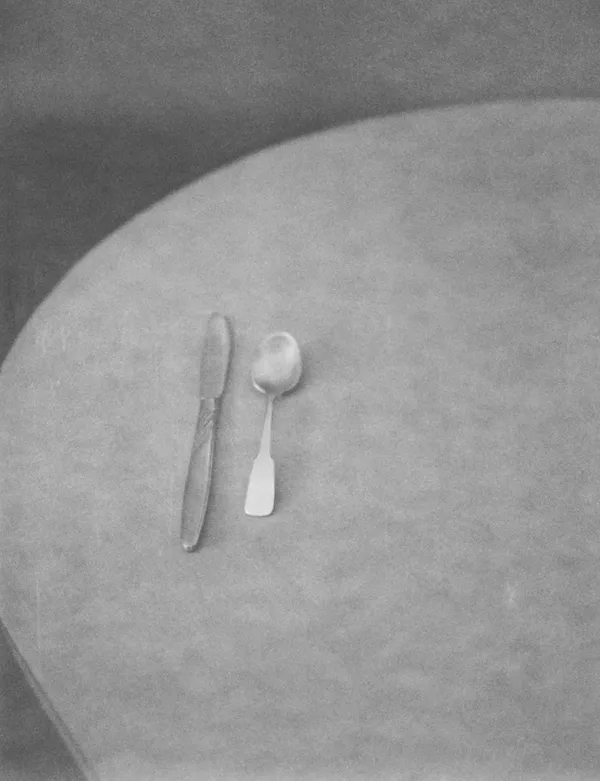 Ruth Lauer Manenti, Knife and Spoon, 2017