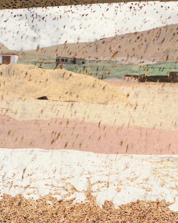 Vasantha Yogananthan, Harvest