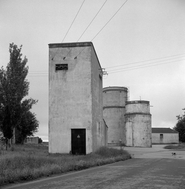 Gerry Johansson, Constanzana