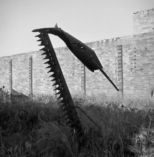 Gerry Johansson, Navianos de Valverde