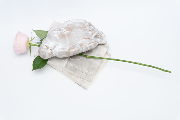 Chen Dandizi 陈丹笛子, 如果夜莺读过波伏瓦 If the Nightingale Had Read Beauvoir, 2026