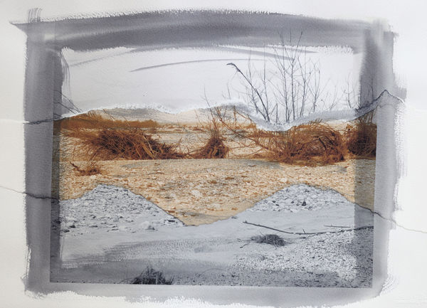 Euro Rotelli, Ri-creatio #5, 2021