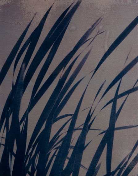 Euro Rotelli, My country #16, 2007