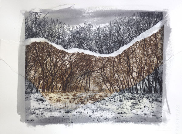 Euro Rotelli, Ri-creatio #10 , 2021