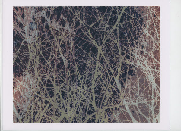 Euro Rotelli, My Country #31, 2009