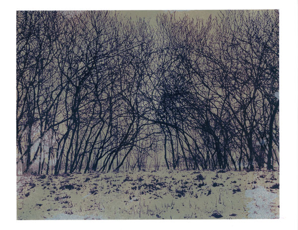 Euro Rotelli, Laguna #30, 2009