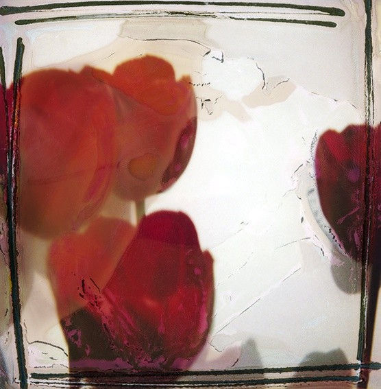 Euro Rotelli, Tulipani #21 / Tulips #21, 2006