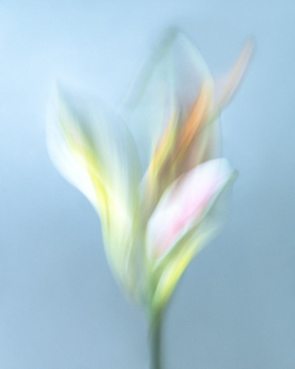 Akvareli / Watercolours