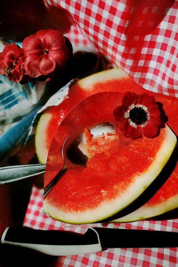 Vanja Bućan, Table Story 01, 2022