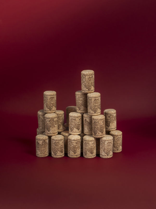 Lucija Rosc, Zamaški, 2024