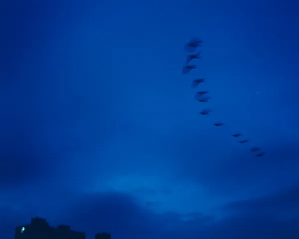 Andrej Lamut, Prehajanje II, 2020