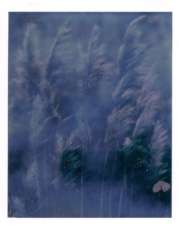 Euro Rotelli, Laguna #6, 1999