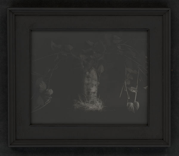 Sergio Scabar, Tiha tema / Silent Darkness, 2017