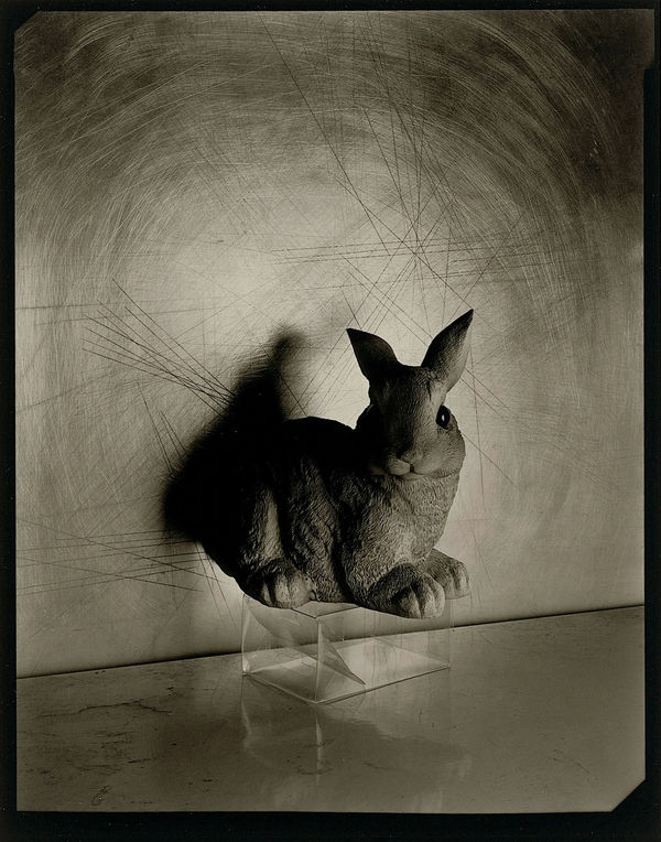 Boris Gaberščik, Po Durerju / After Durer, 2022