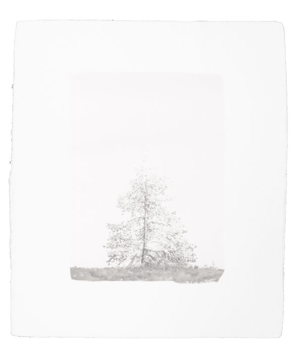 Hannah Schemel, Kigen #105, 2021