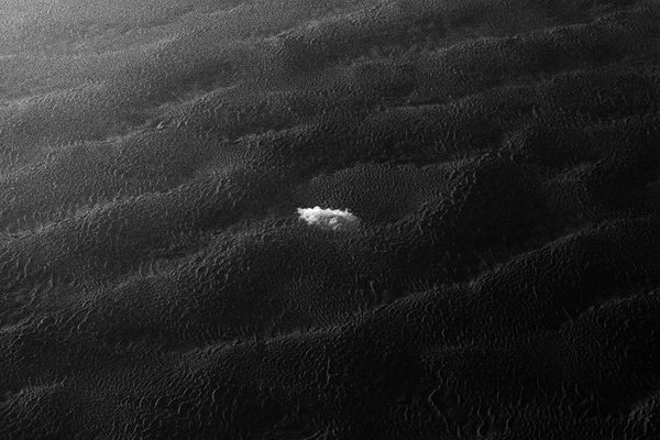 Tereza Kozinc, V iskanju Stenlija #11 / Finding Stenli #11, 2015