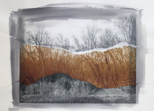 Euro Rotelli, Ri-creatio #6, 2021