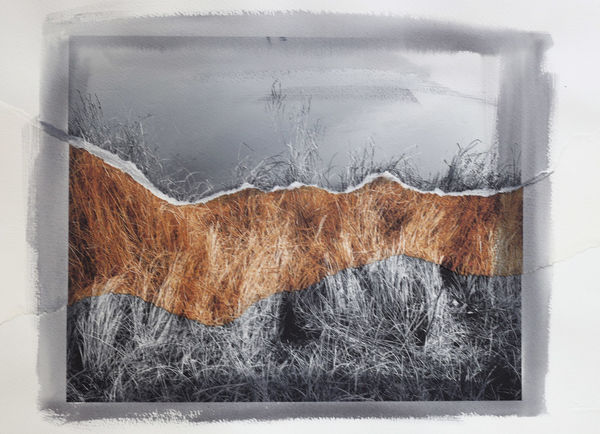 Euro Rotelli, Ri-creatio #16, 2021