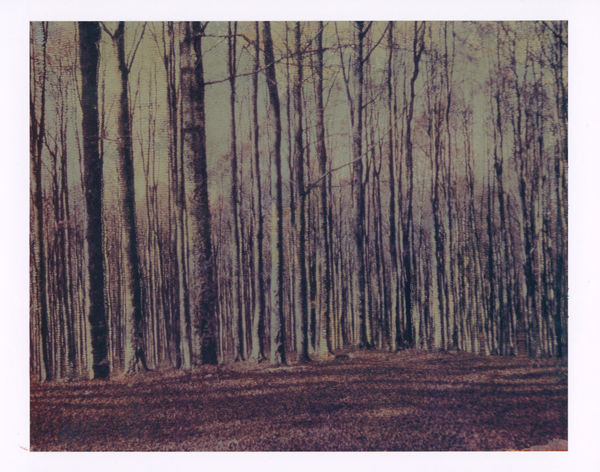 Euro Rotelli, Laguna #32, 2009