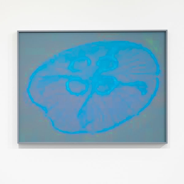 Eva-Teréz Gölin, Basic Life Form I, 2025