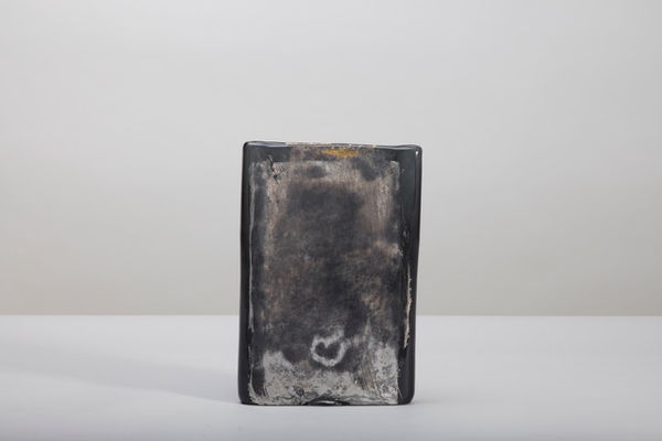 LAURA DE SANTILLANA, (IN 8. VO) LICHEN, 2018, 2018