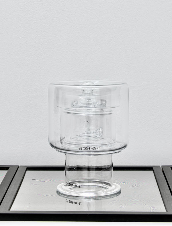 EVELINA DOVSTEN, EVERY SAMPLING IS A TESTIMONY 2611, 2020